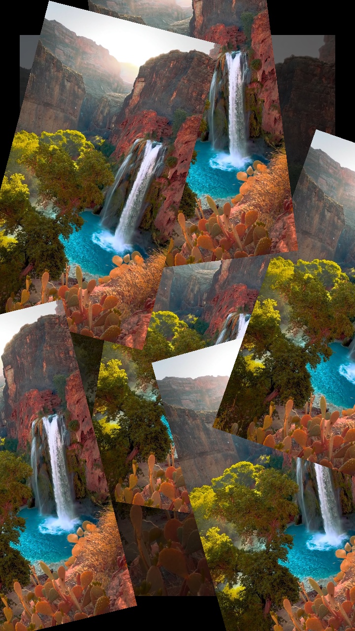 Cover Picture