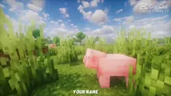 Minecraft edit