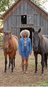 My horses 