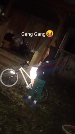 Gang Gang