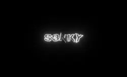 S3nky wm