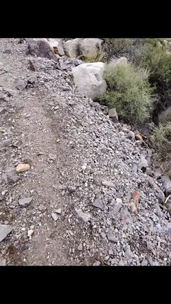 Hiking Vibes