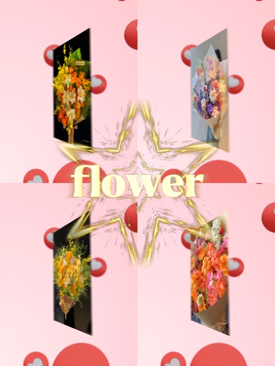 🌸🌸🌸🌸🌸🌸
