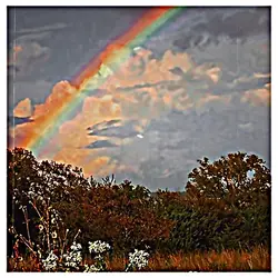 RAINBOW^^