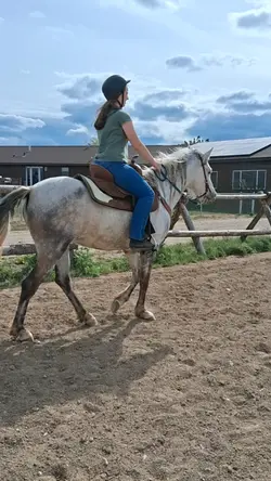 Equestrian