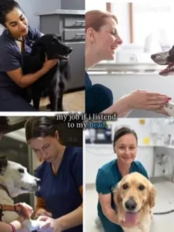 #veterinarian