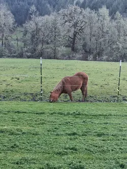 country