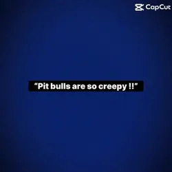 Pitbulls 