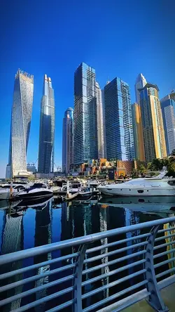 8 clip or photo 🇺🇸