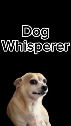 Dog Whisperer