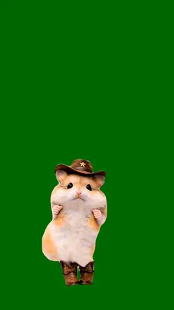 Funny Cowboy Hamster