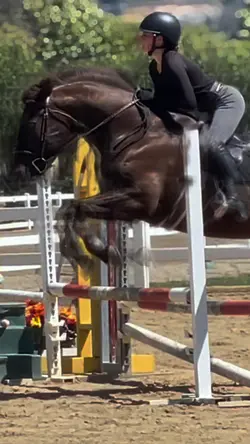 love this horse smm