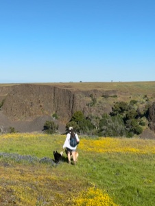 NorCal Hikes