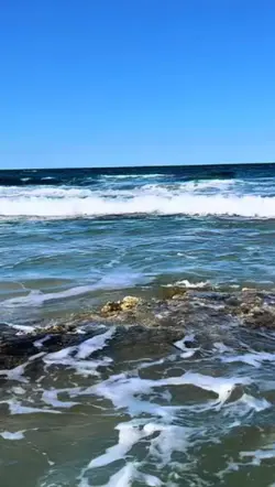 Enjoying Life