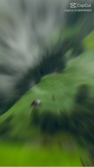 Nouveau modèle 