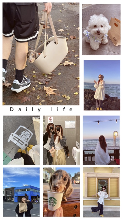 My photo gallery