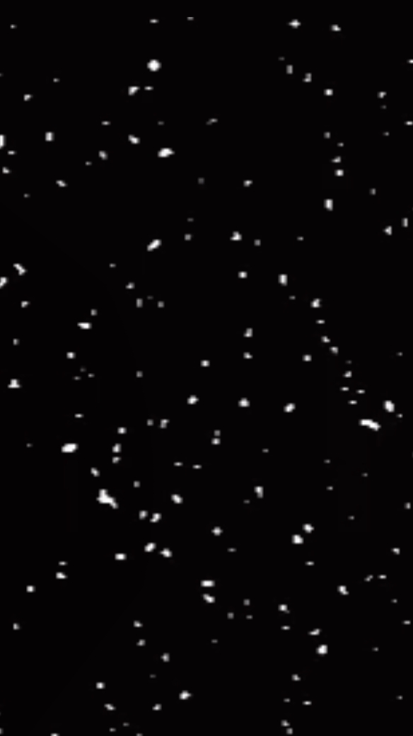 Qu'est-ce qui te rend heureux