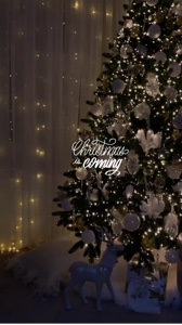 Se acerca la Navidad 