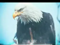 AMERICA 