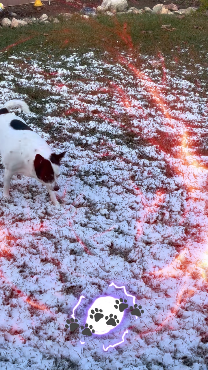 Gefrorene 🥶 Tundra 