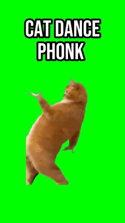 Cat dance phonk 