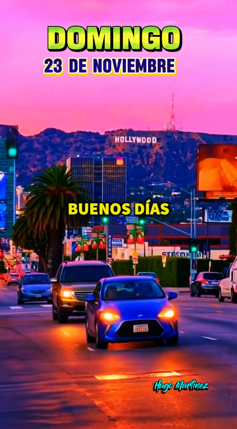 Domingo 23 Noviembre
