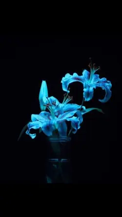 Blue wallpapers