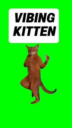 VIBING KITTEN