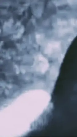 Horror trailer 