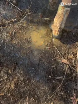 #country 