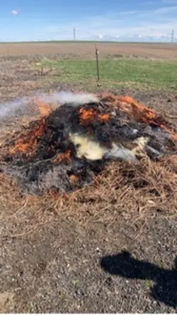 Bomb fire