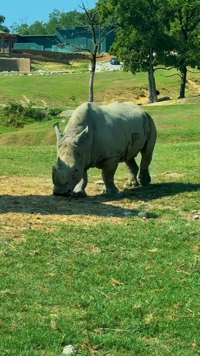 Zoo