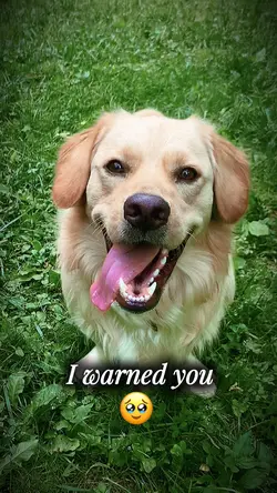 Dont blink 🩵💙-2pics