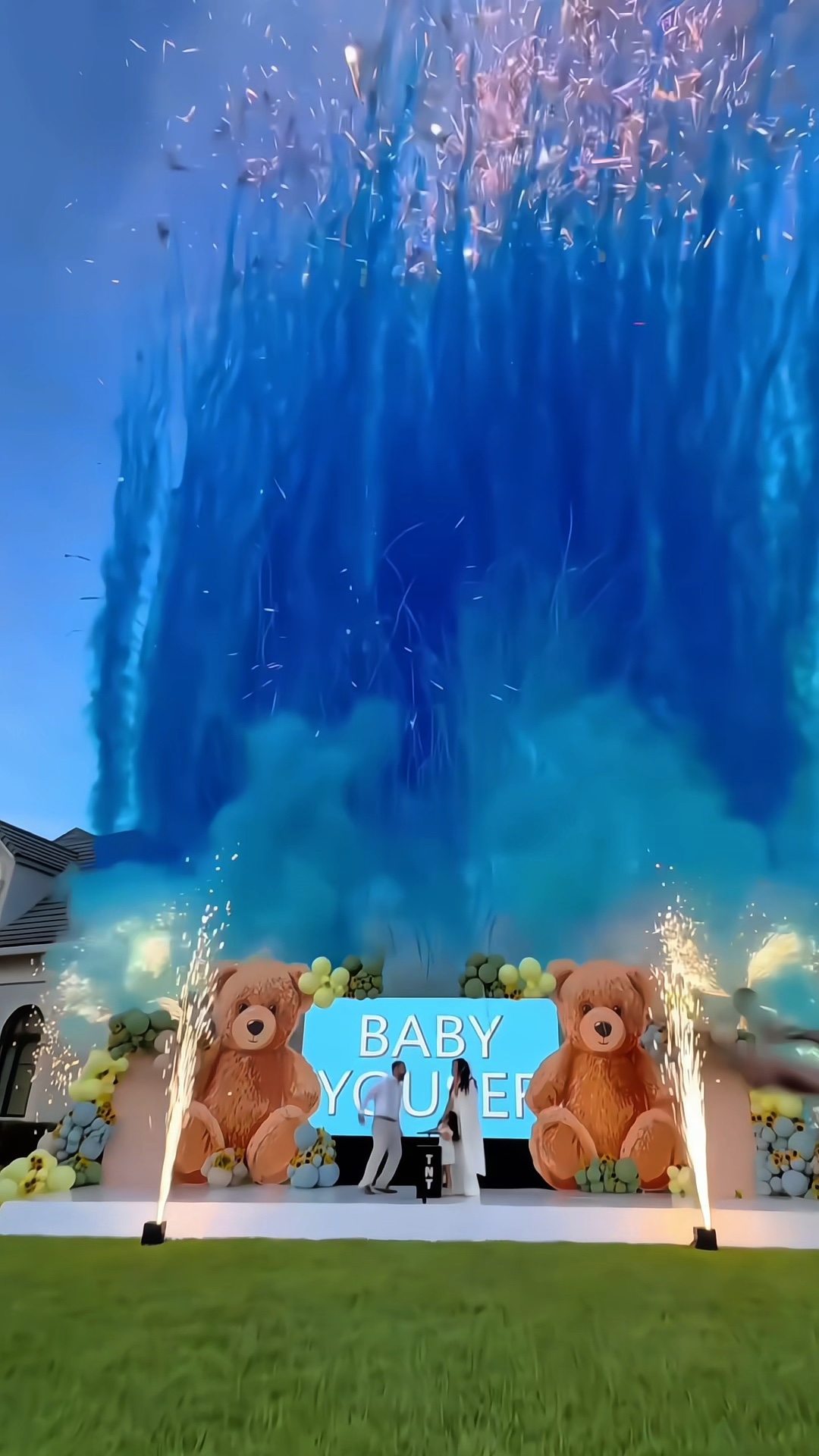 Gender reveal