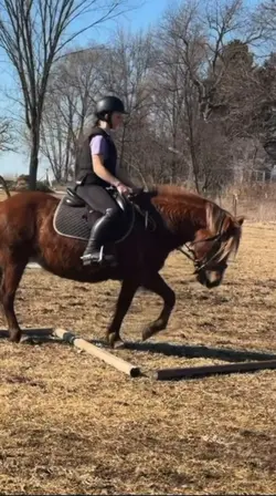 passed all my finals