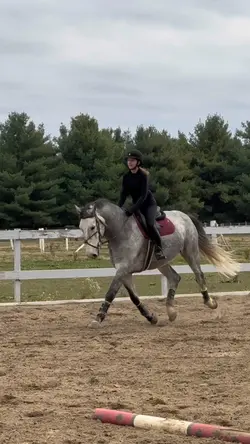 THAT TROT OMHSIJRNGU