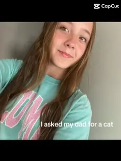 My kitty cat