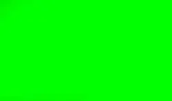 dinosaur speed green