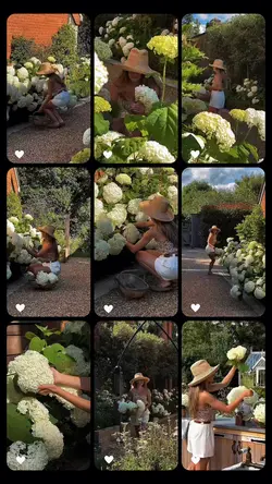 Gardening