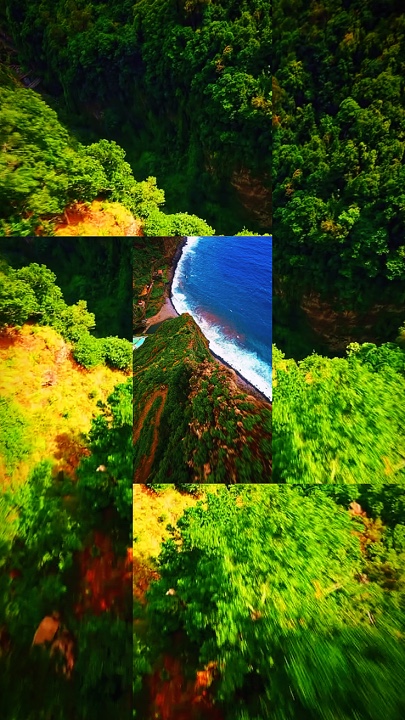 15 clip ou photo 