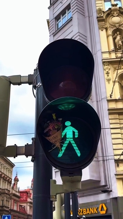 8 video or photo 
