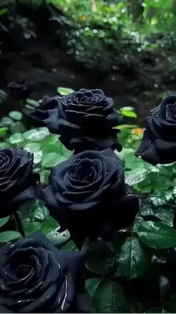 3D Livewallpaper