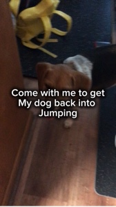 Jumping 