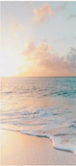 Summer backgrounds 