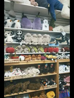 new taylor album 😻😻