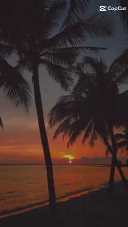 Paradise