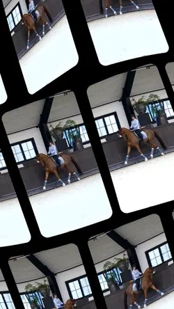 montado a caballo