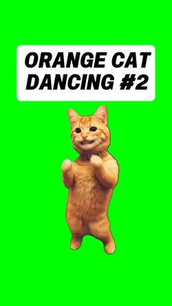 ORANGE CAT DANCING