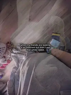 'white rabbit'