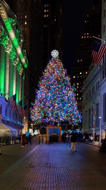 Nueva Navidad 